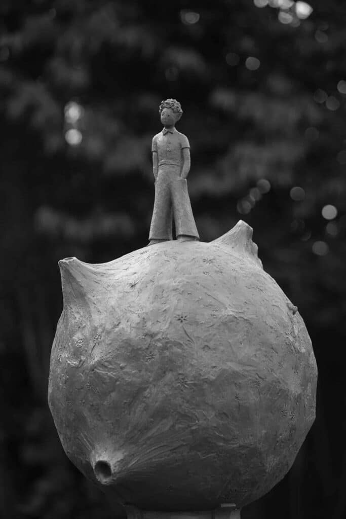 Jean-Marc de Pas -Harmonie de l’Art et de la Nature-